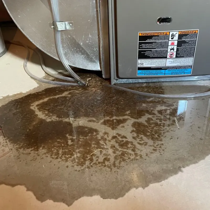 Pipe Burst and Leak Restoration in Rosslyn, VA